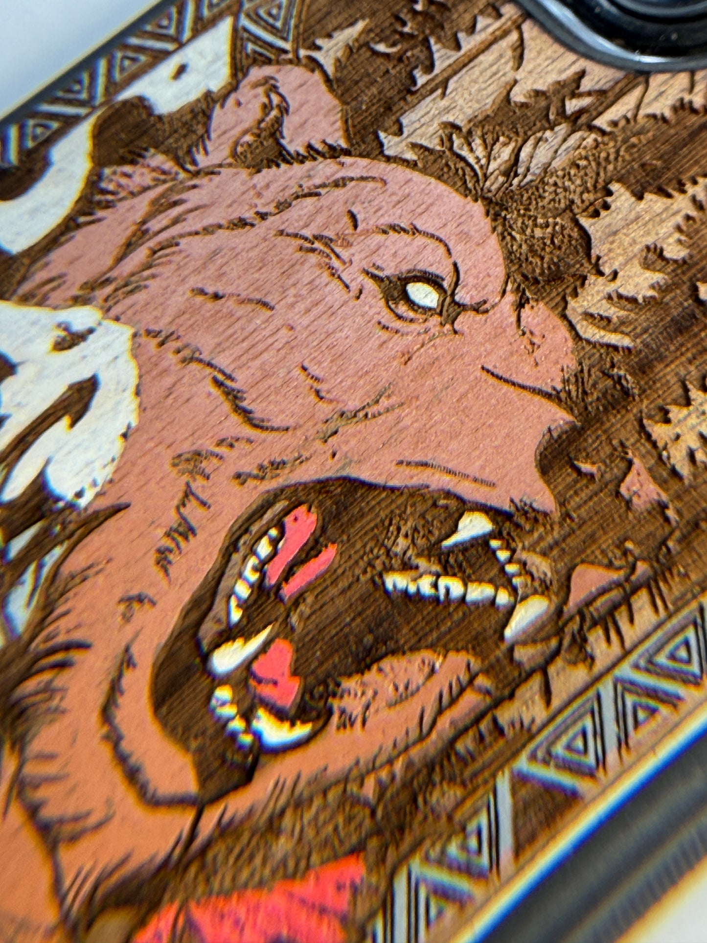 Fierce Bear in the woods